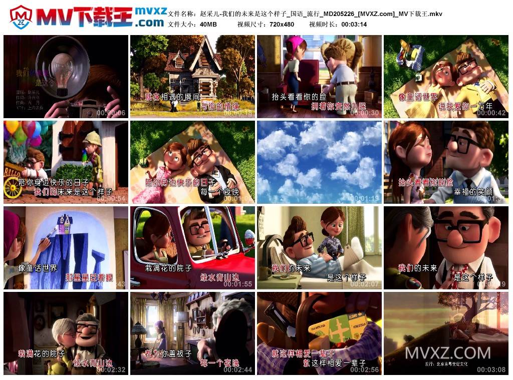 赵采儿-我们的未来是这个样子_国语_流行_MD205226